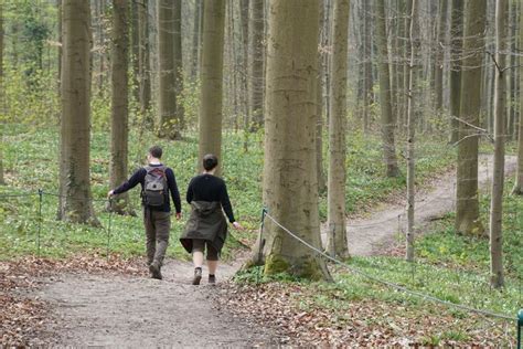 vlaanderen vzw wandelen.